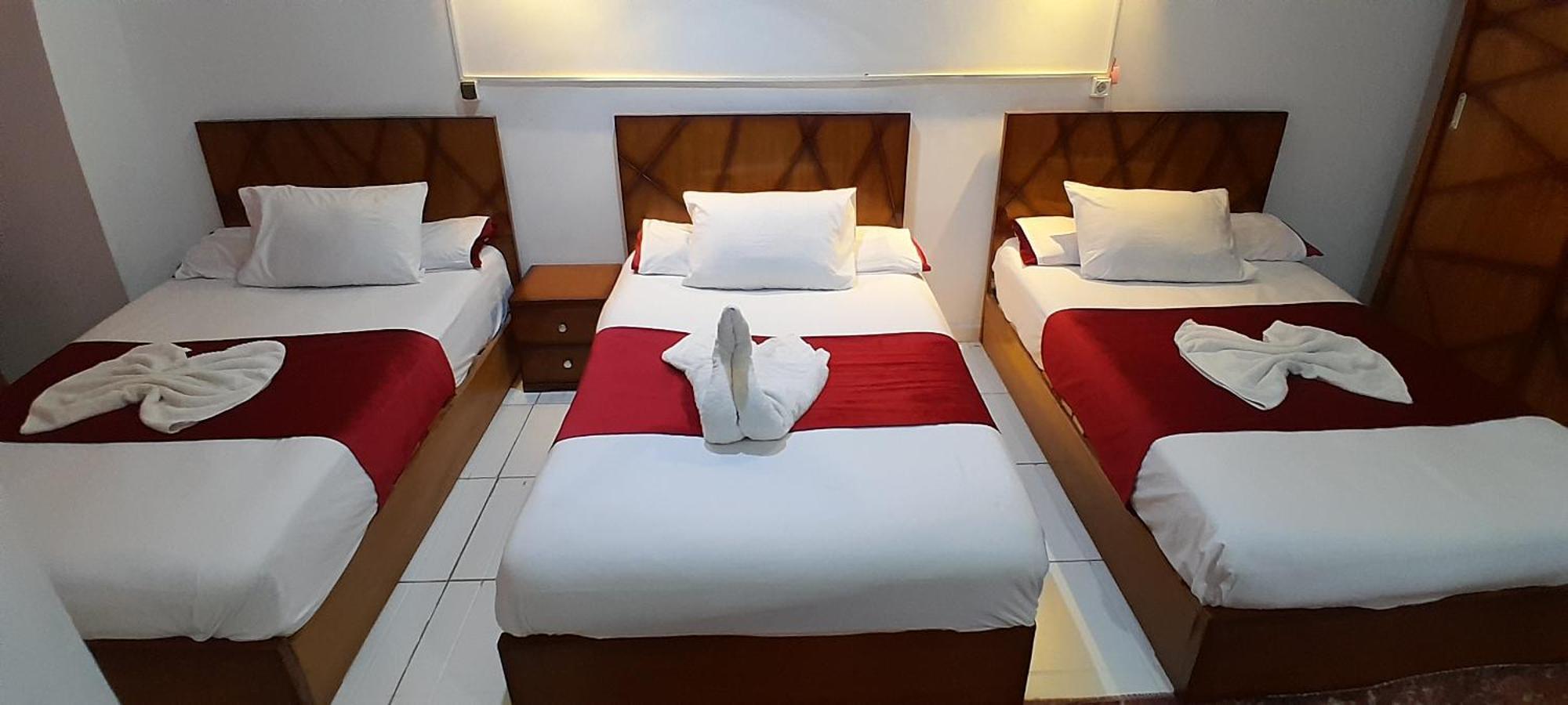 Alshawarbi Plaza Hotel Κάιρο Εξωτερικό φωτογραφία